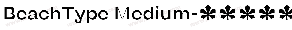 BeachType Medium字体转换